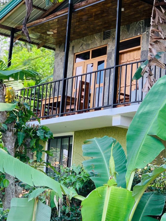 Rock View Cottage 埃拉 外观 照片
