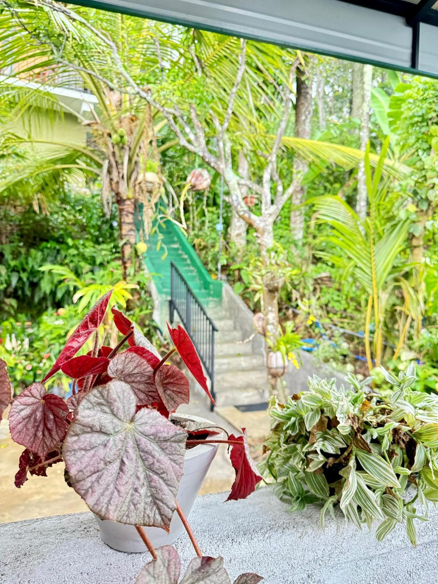 Rock View Cottage 埃拉 外观 照片